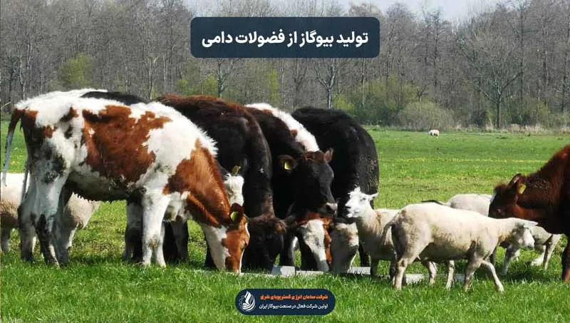 چالش‌ها و محدودیت‌ها در تولید بیوگاز از فضولات دامی