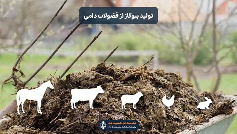 منابع تولید بیوگاز از فضولات حیوانات
