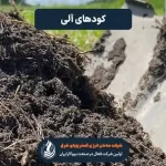 کودهای آلی در کشاورزی سبز: تأثیرات مثبت بر خاک و سلامت گیاهان