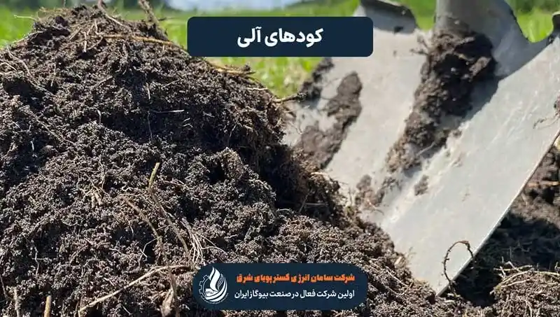 کودهای آلی در کشاورزی سبز: تأثیرات مثبت بر خاک و سلامت گیاهان