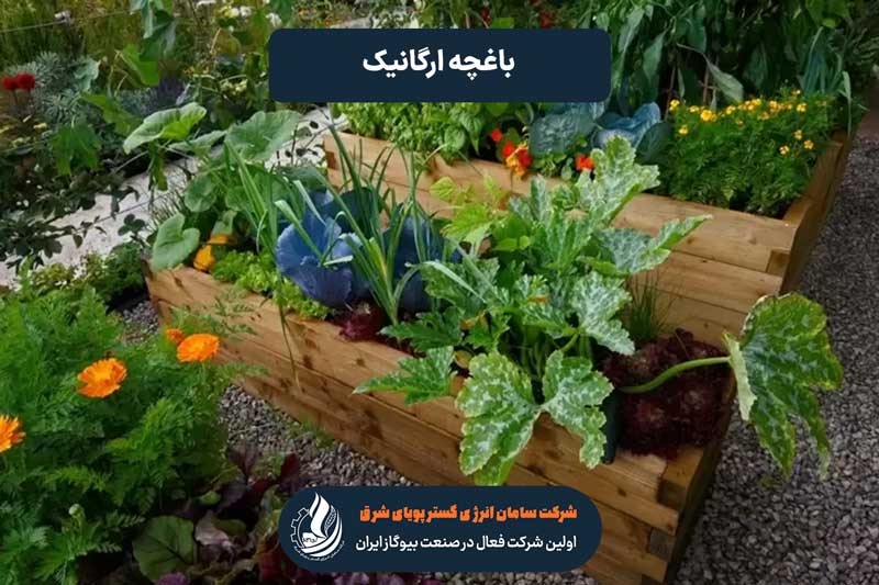 اهمیت باغچه ارگانیک