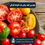 بهترین کود برای رشد گوجه فرنگی