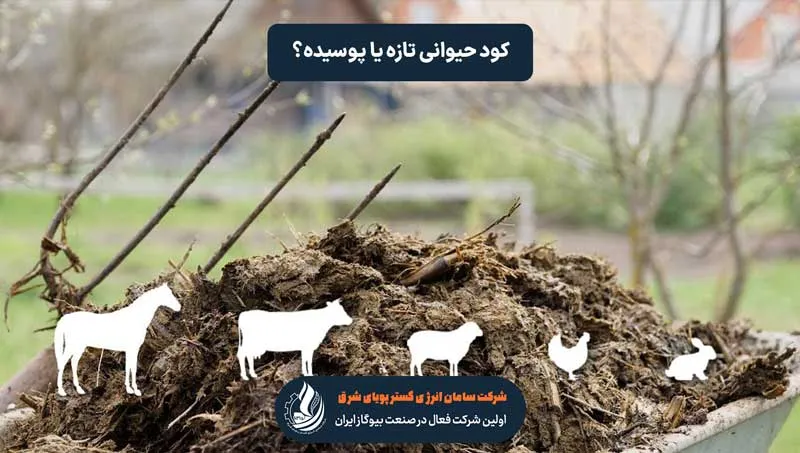 کودهای حیوانی تازه