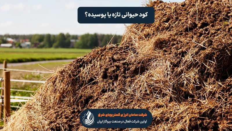کودهای حیوانی انباشته شده