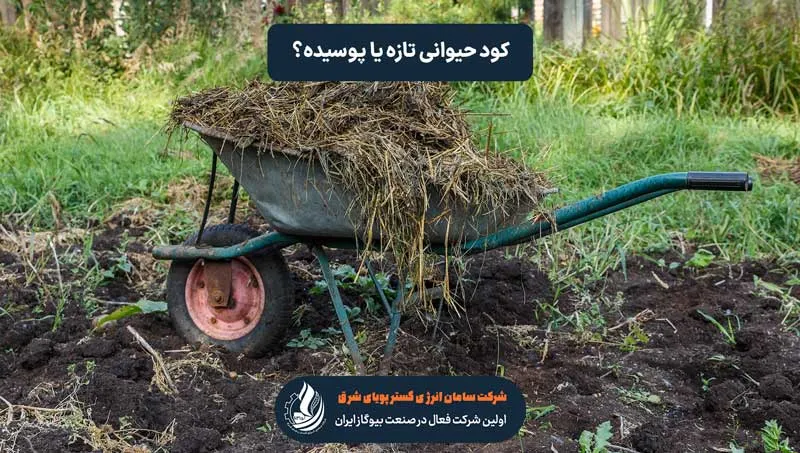 حمل کود حیوانی با فرقان