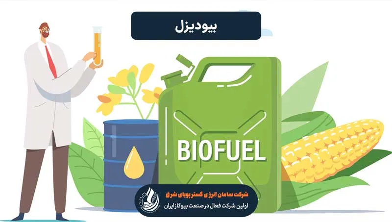بیودیزل چیست؟