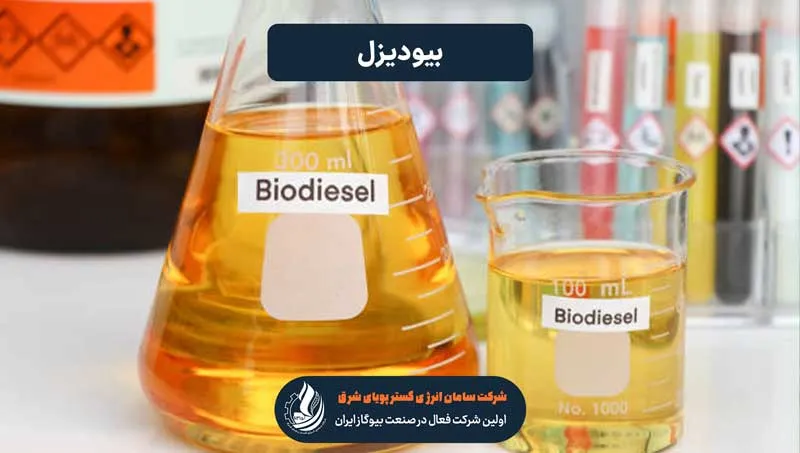 شیشه های بیودیزل در حال آزمایش