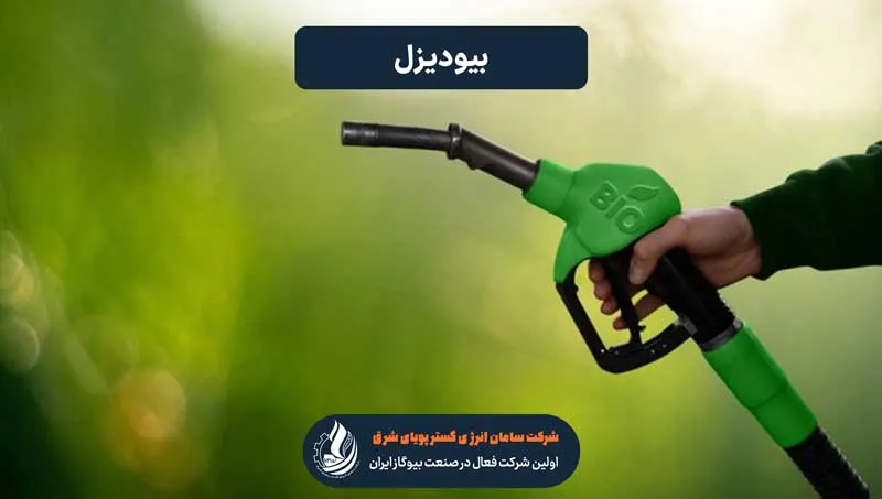 بیودیزل