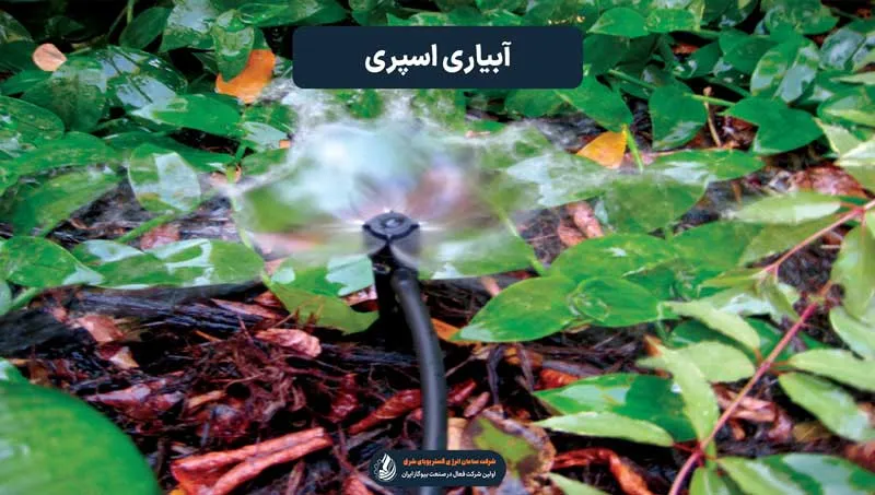 آبیاری اسپری