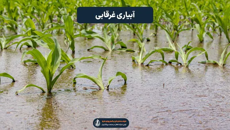 آبیاری غرقابی