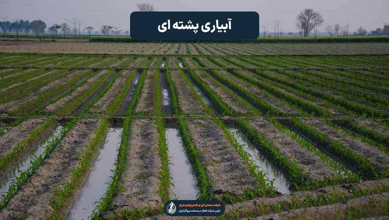 آبیاری پشته ای