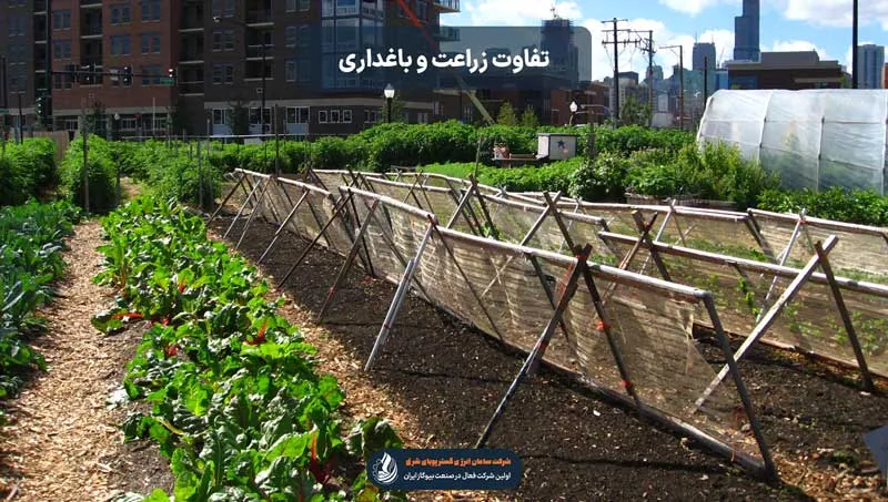 عکس یک باغ برای تفاوت زراعت و باغداری