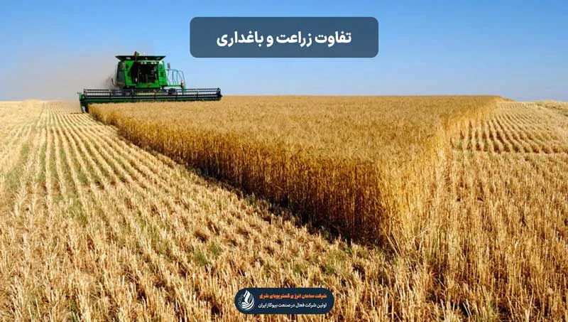 مراحل انجام زراعت