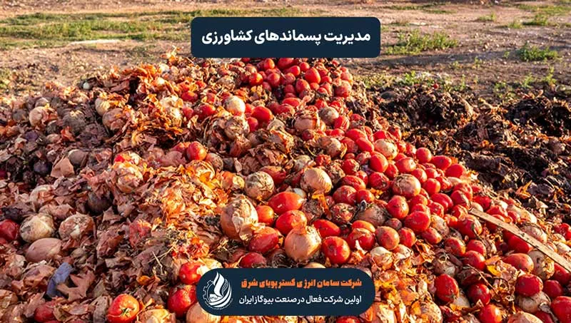 مدیریت پسماندهای کشاورزی در مزارع