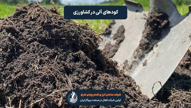 کودهای آلی در کشاورزی و مدیریت پسماندها
