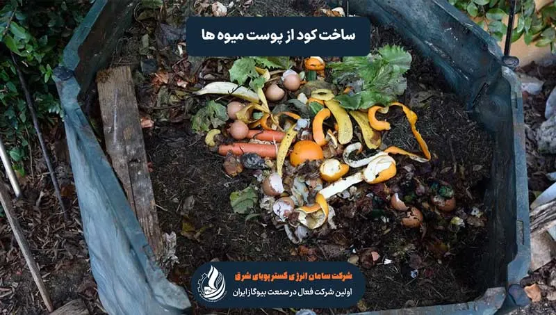 چگونه از پوست میوه ها کود بسازیم؟