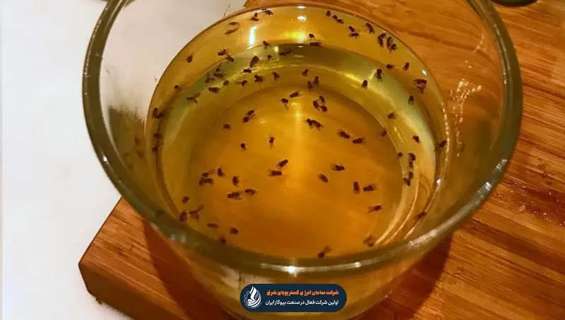 تله سرکه و مایع ظرفشویی