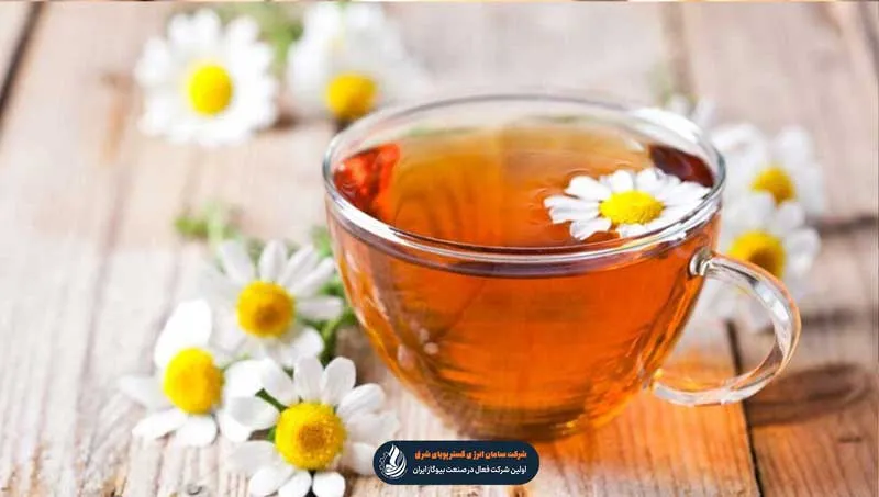 آبیاری با دمنوش سرد شده