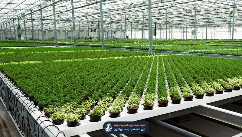 هزینه راه اندازی گلخانه های بزرگ