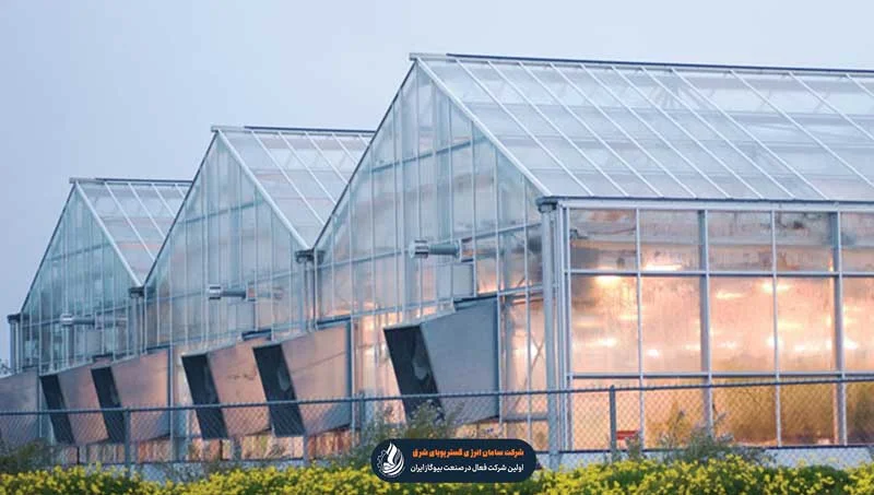 هزینه راه اندازی گلخانه اسپانیایی