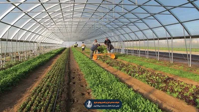 هزینه گلخانه