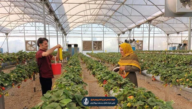 گلخانه ها در ایران