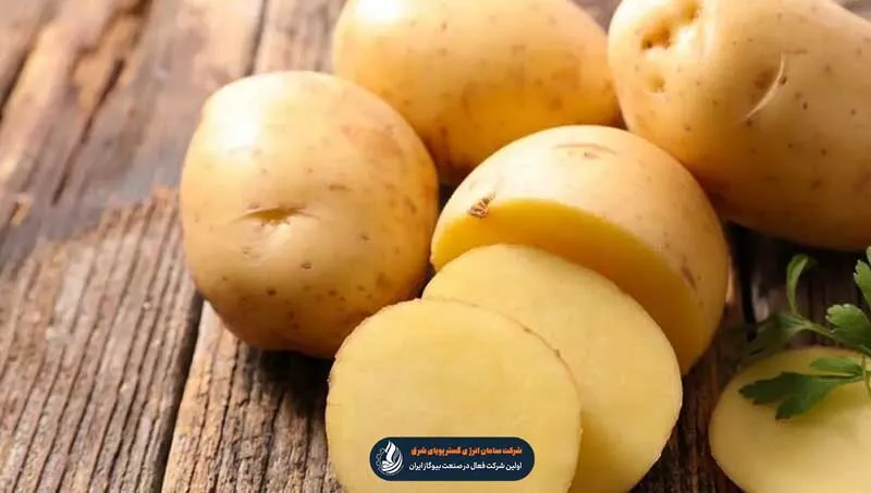 ورقه های سیب زمینی
