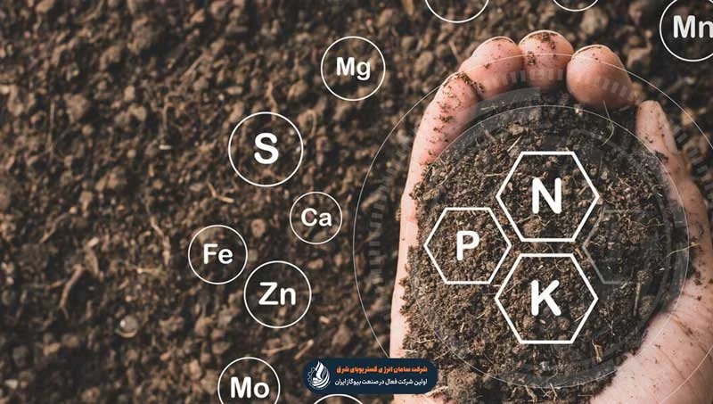3 عنصر حیاتی برای درشت شدن میوه ها