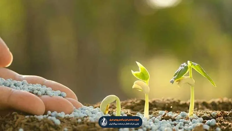 اشتباهات در کوددهی