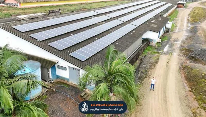 کاهش مصرف سوخت برای مرغداری ها