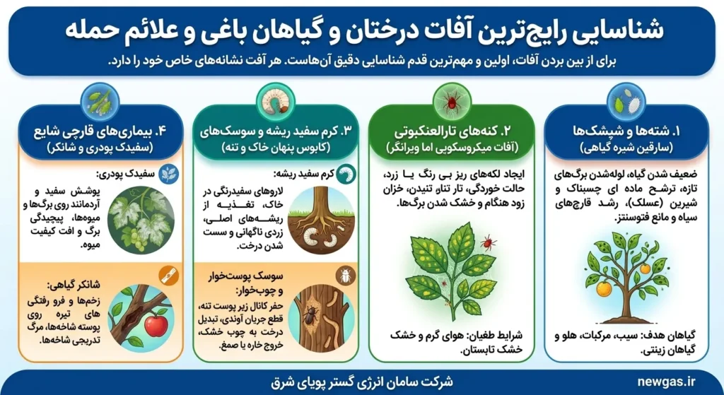 اینفوگرافی رایج ترین آفات درختان